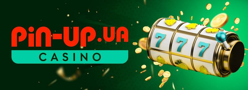 Testimonio de empresa de juegos de azar sobre establecimiento de juegos de azar Pin Up